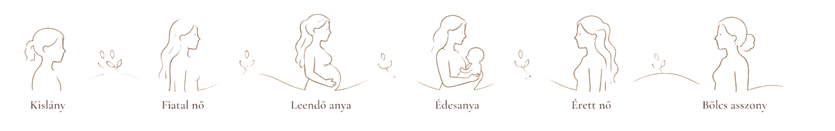 A női életút